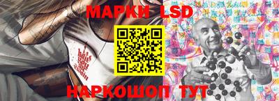 индика Кандалакша