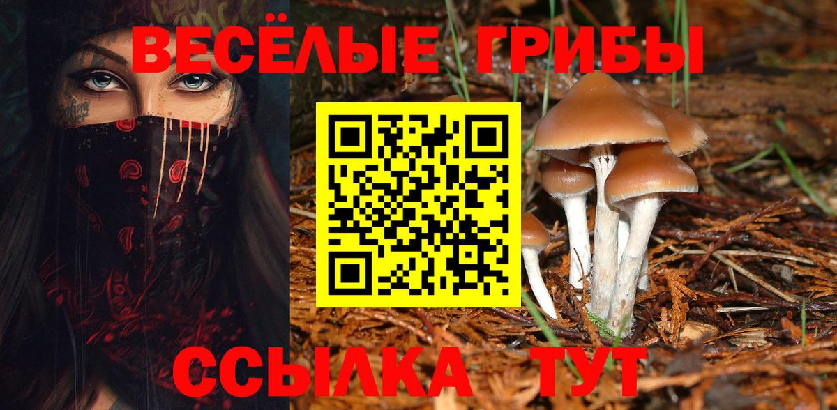 Галлюциногенные грибы MAGIC MUSHROOMS  Псилоцибиновые грибы Cubensis  Крымск  Вход с VPN 